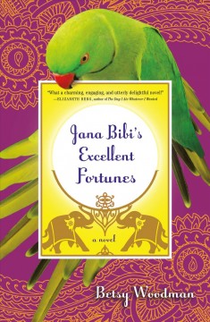 Jana Bibi's excellent fortunes : a novel  Cover Image