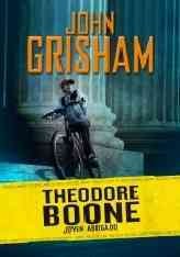 Theodore Boone : joven abogado  Cover Image