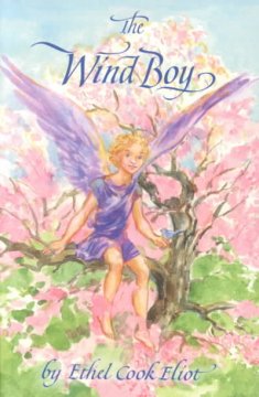 The wind boy  Cover Image