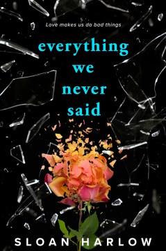 Everything we never said Book cover