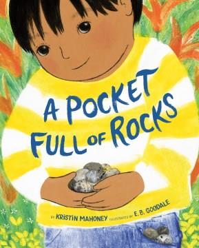 A pocket full of rocks Book cover