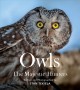 Go to record Owls : the majestic hunters