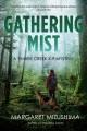 Go to record Gathering mist
