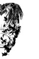 Go to record Sin City. Volume 3, The big fat kill