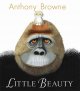 Go to record Little Beauty