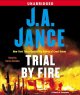 Go to record Trial by fire : [a novel of suspense]